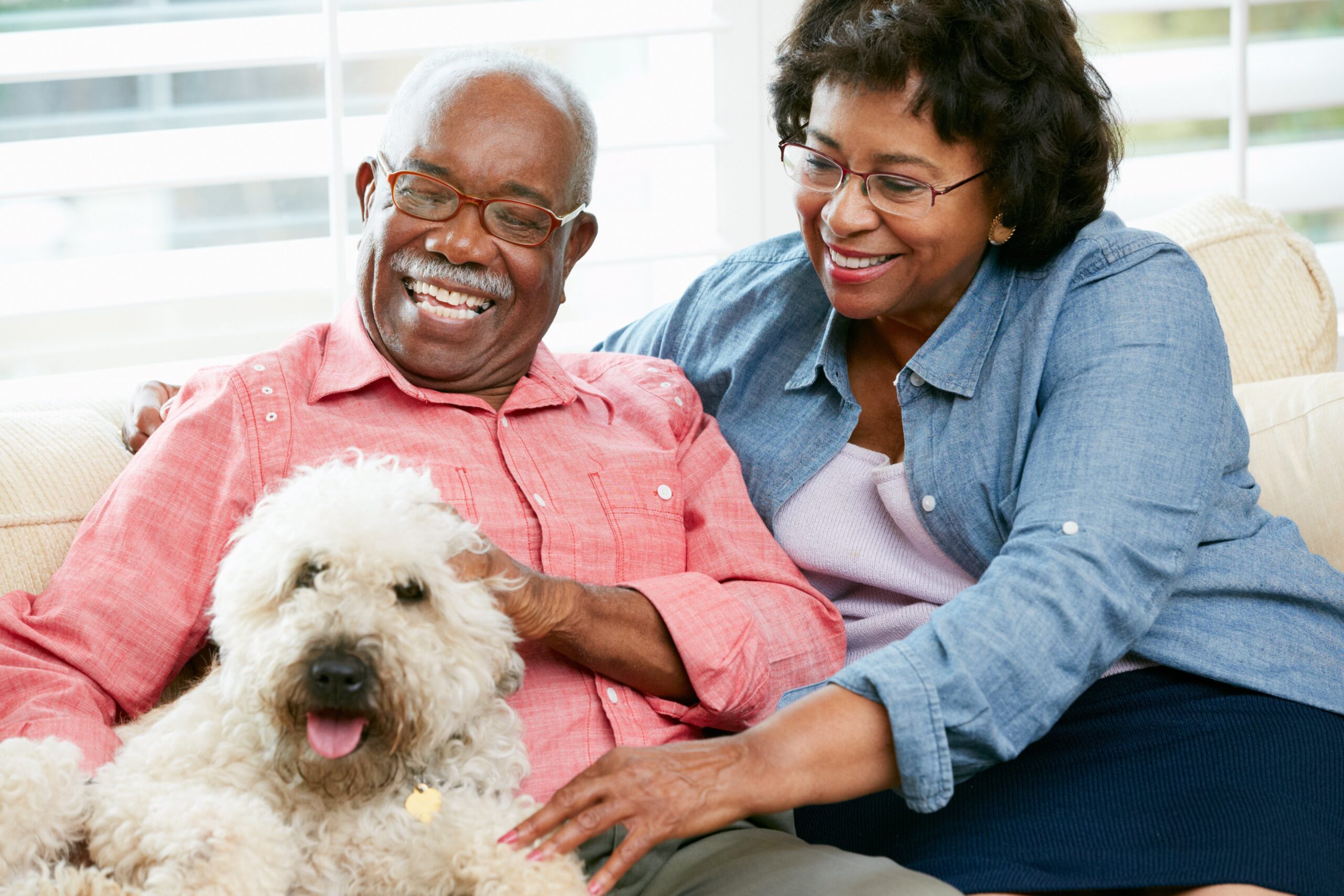 An older gentleman with his pet is trying to make a decision between independent living vs. assisted living facilities.)