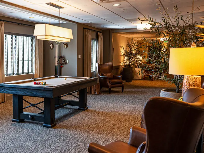 room with leather seats and pool table